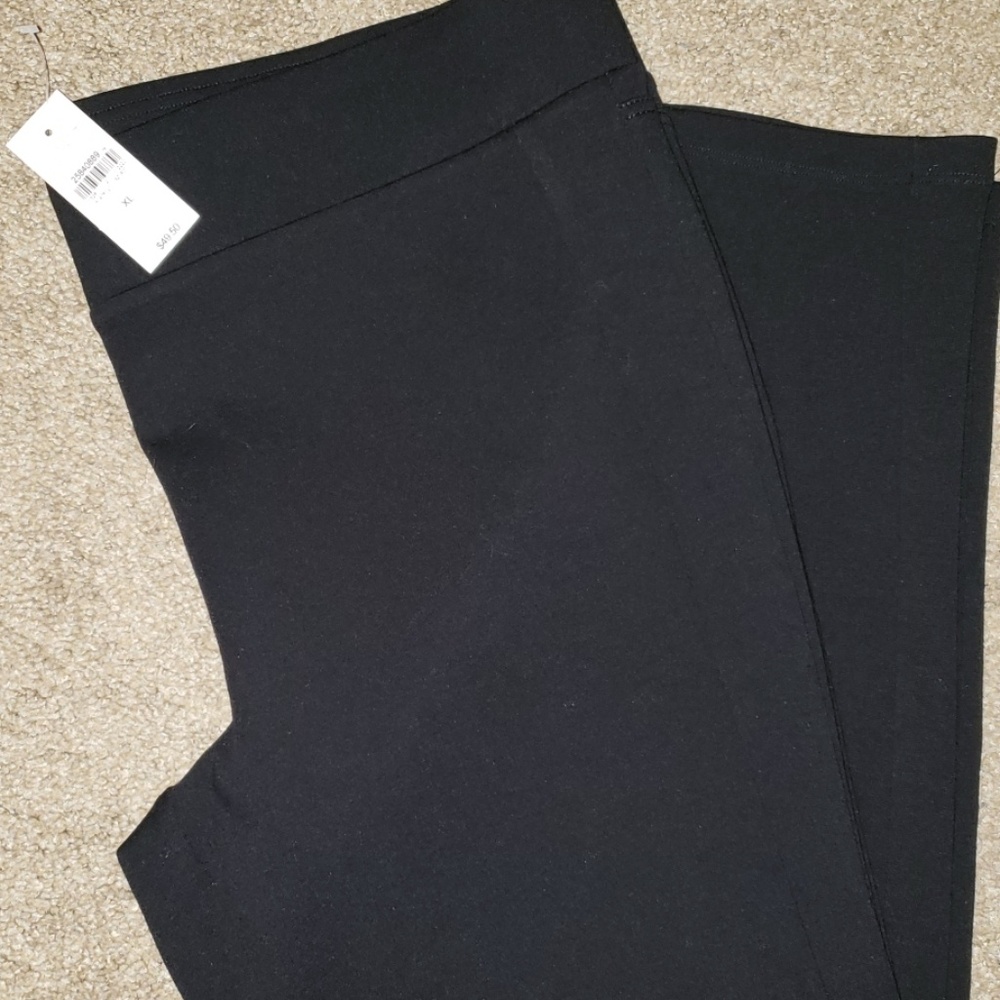 NWT LOFT Seamed Ponte Pant